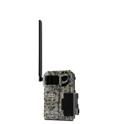 CAMERA DE CHASSE SPYPOINT LINK-MICRO + abonnement 100 photos gratuit à vie