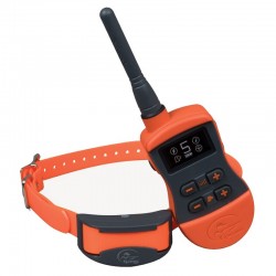 COLLIER DRESSAGE SD 800M