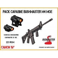 Pack Carabine BUSHMASTER M4...