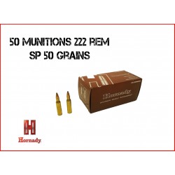 Cartouches à balle Hornady 222 Rem Spire Point