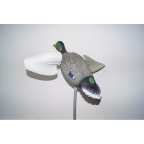 APPEAU MALLARD MALE AILES TOURNANTES
