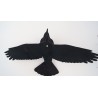 APPEAU CORBEAU NOIR AILE MOUSSE EVA  FLOCAGE