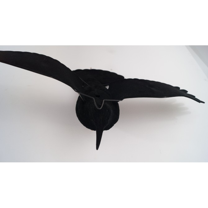 APPEAU CORBEAU NOIR AILE MOUSSE EVA  FLOCAGE