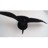 APPEAU CORBEAU NOIR AILE MOUSSE EVA  FLOCAGE