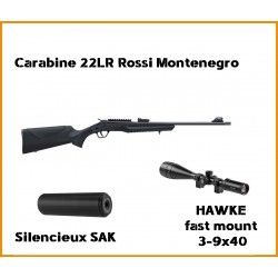 Carabine 22LR Rossi Montenegro