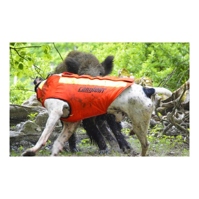 DOG ARMOR V2 - GILET DE PROTECTION CANIHUNT