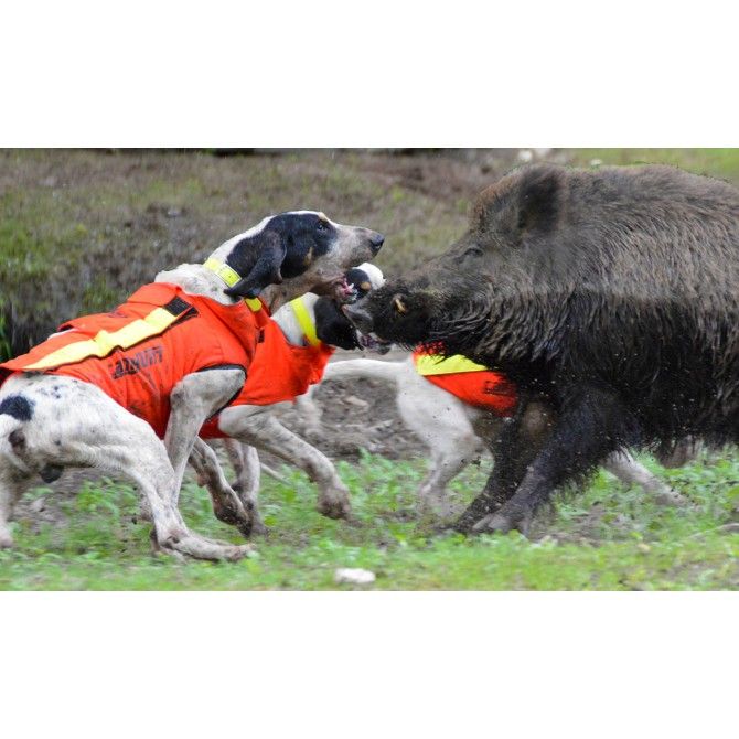 DOG ARMOR V2 - GILET DE PROTECTION CANIHUNT