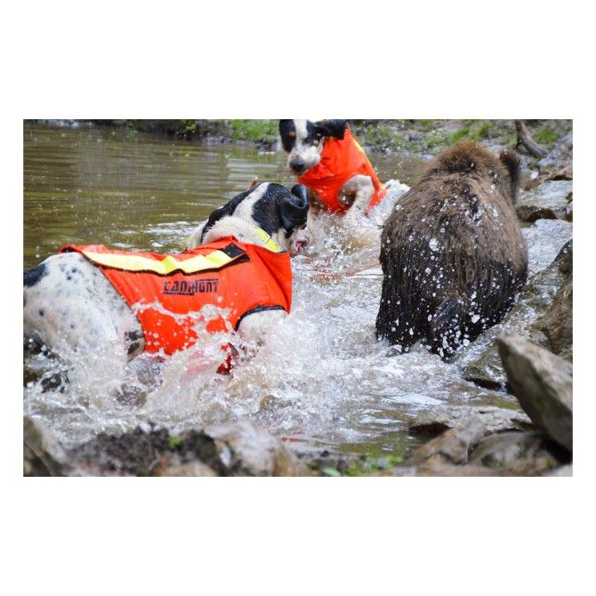 DOG ARMOR V2 - GILET DE PROTECTION CANIHUNT
