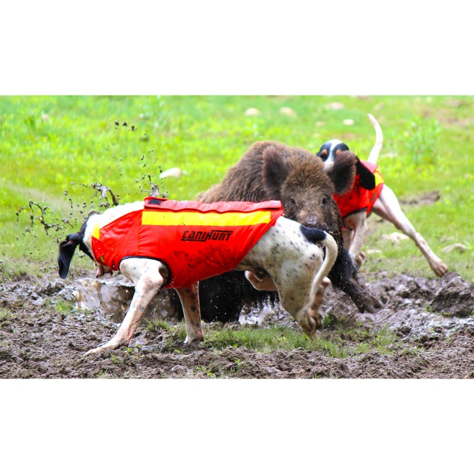 DOG ARMOR V2 - GILET DE PROTECTION CANIHUNT