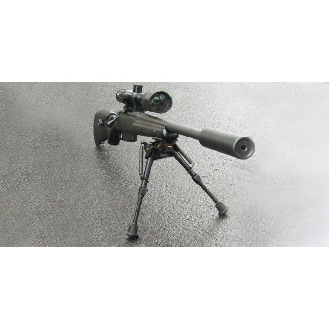 SILENCIEUX RDS INDUSTRIE VORTEX 8