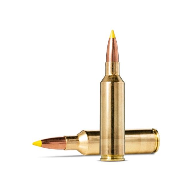 Munitions NORMA Cal.270 WSM Nosler BST 8.4g 130 grains