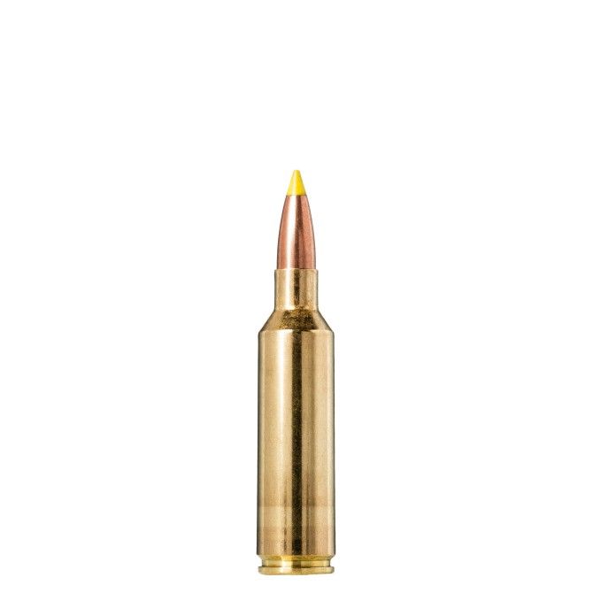 Munitions NORMA Cal.270 WSM Nosler BST 8.4g 130 grains