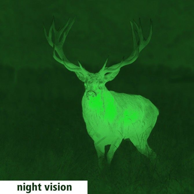 Lunette GPO Spectra Ti35 - Vision Nocturne - Zoom numérique - Capteur thermique VOx