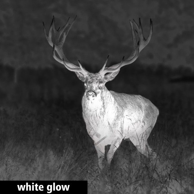 Lunette GPO Spectra Ti35 - Vision Nocturne - Zoom numérique - Capteur thermique VOx