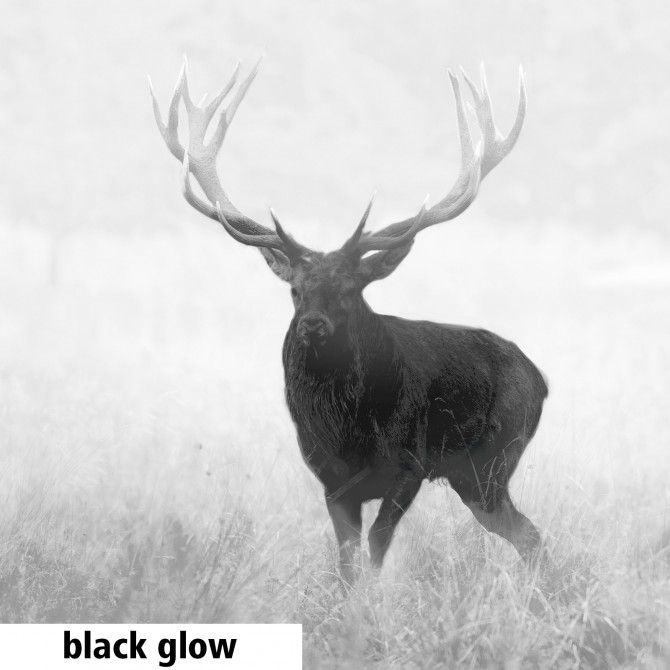 Lunette GPO Spectra Ti35 - Vision Nocturne - Zoom numérique - Capteur thermique VOx