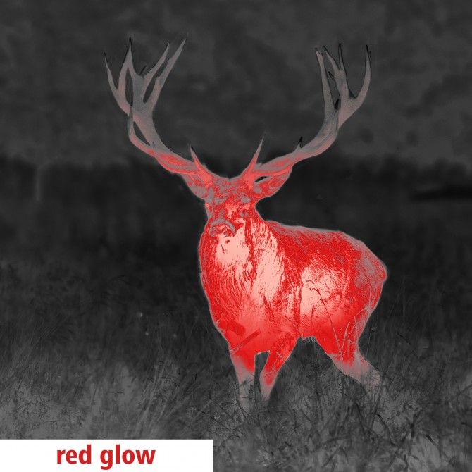 Lunette GPO Spectra Ti35 - Vision Nocturne - Zoom numérique - Capteur thermique VOx