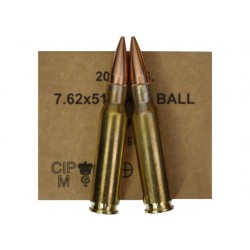CARTOUCHES GGG 308WIN 147GR B20