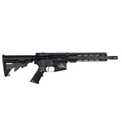 CARABINE ALPEN STG15...