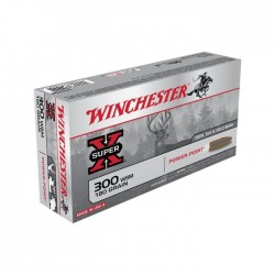 20 Munitions WINCHESTER...