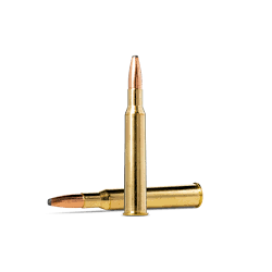 20 Munitions NORMA...