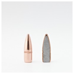 Balles 22 Cal .224 55 gr...