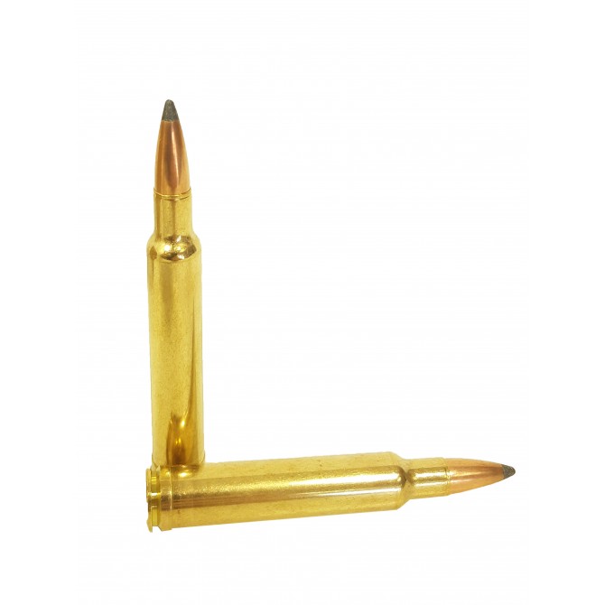 Cartouche à balle Sologne 300 Wby Mag Nosler Partition 180gr