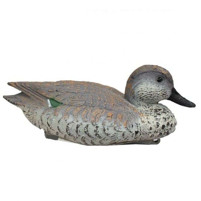 APPEAU CANARD SARCELLE FEMELLE