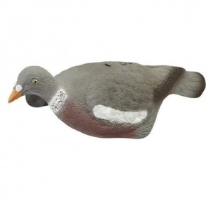 APPEAU PIGEON LUXCOQUILLE